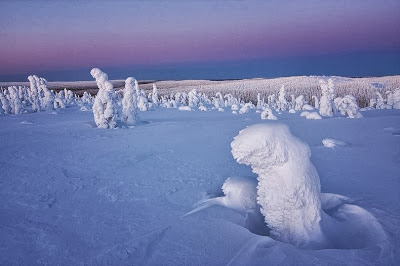 Николо Бонфандини- итальянский фотограф