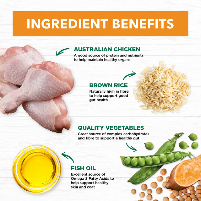 Nutritional benefits of chicken meal for dogs