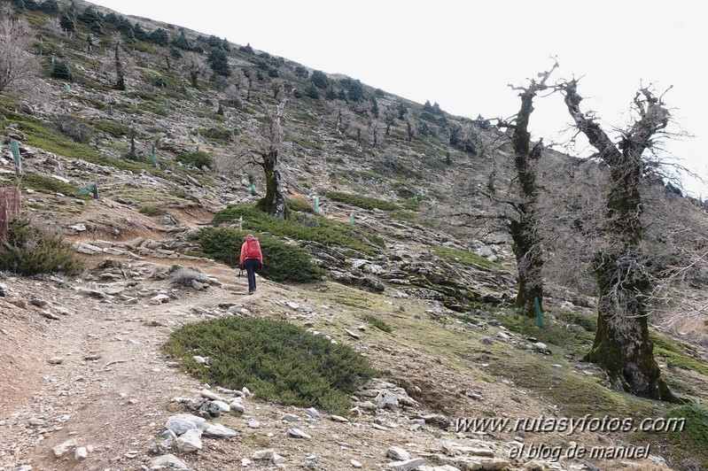 Cañada del Cuerno - Torrecilla - Cañada de las Ánimas