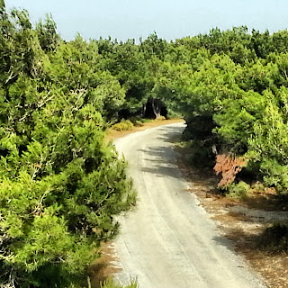 BOZCAADA, TATİL, ÇANAKKALE, GEYİKLİ, AYAZMA, AKVARYUM, PLAJ, YAZLIK, BAĞ,ÜZÜM,ŞARAP,SİMYON,RUM,ADA,KAVALA, PEYNİR TATLISI,BADEMLİ KURABİYE, BADEM LOKUMU,HAVUZ, DENİZ, YAZ TATİLİ, NEREYE GİTSEM