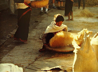 Threshing corn, street, Kathmandu, Nepal