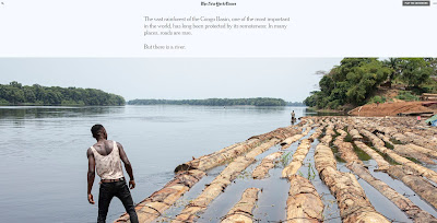 screen shot of NT Times web article photo of raft of logs is prepared for a trip down the Congo River