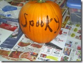 Emily's Pumpkin