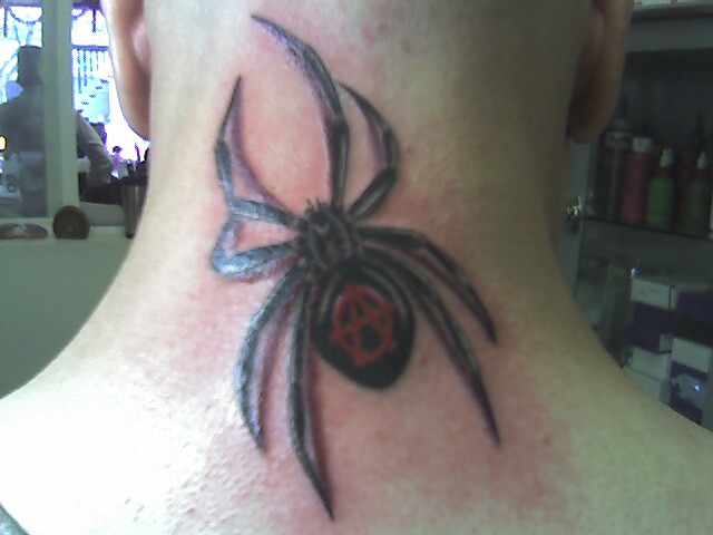 New Picture 3D Spider Tattoo