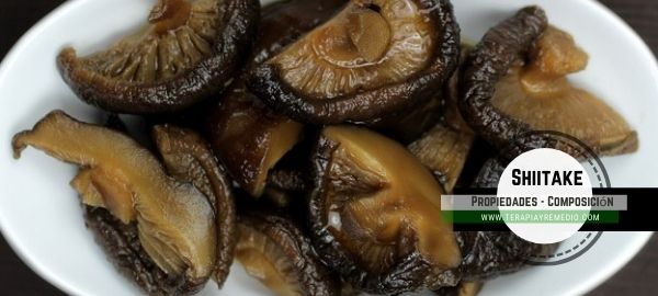 Shiitake, Propiedades medicinales