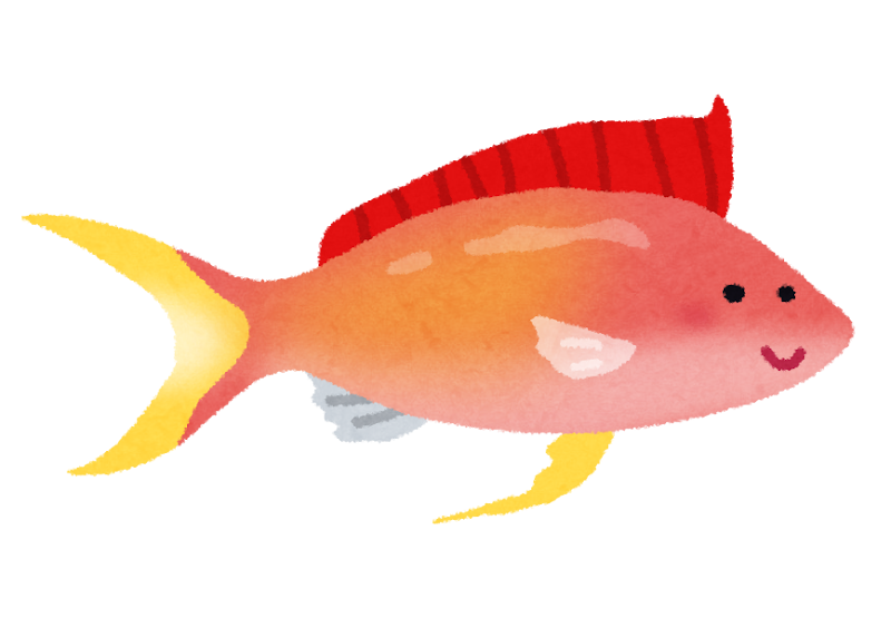 アカネハナゴイのイラスト 熱帯魚 かわいいフリー素材集 いらすとや アカネハナゴイのイラスト 熱帯魚 かわいいフリー素材集 いらすとや