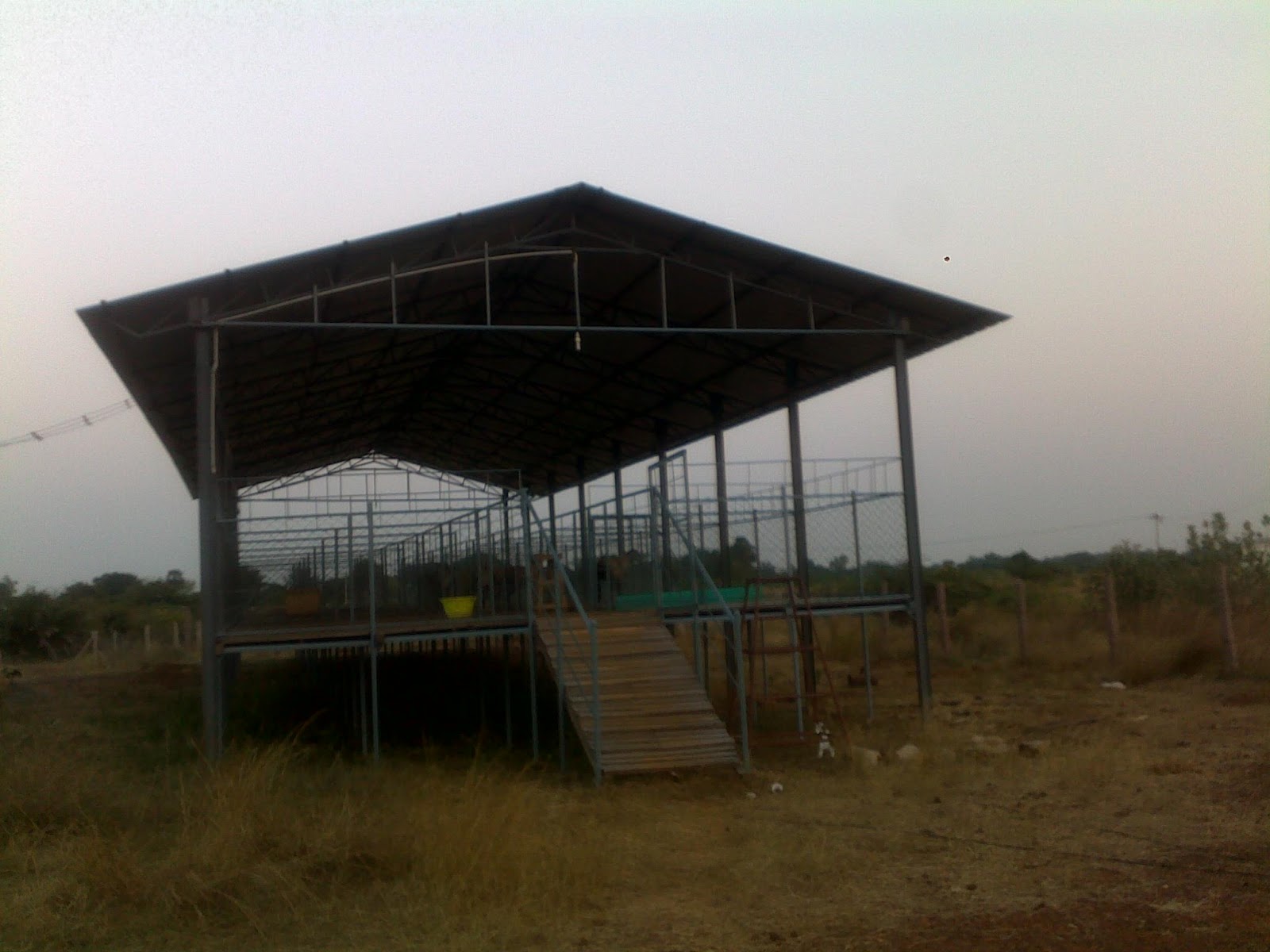 Sheep Shed Designs