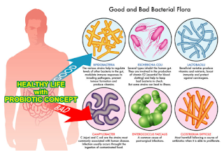 cara membuat probiotik