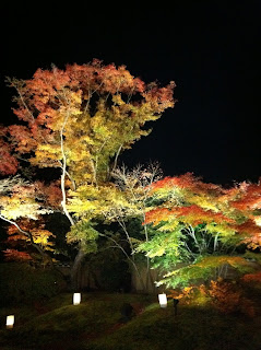 Japan, Matsushima, Autumn, Fall, 松島, 紅葉