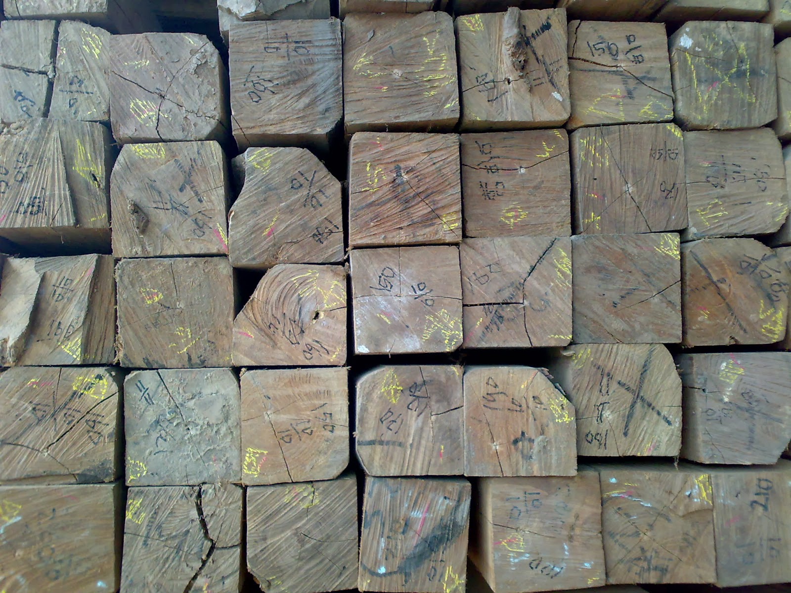  JUAL KAYU JATI HARGA PROMO KAYU PRODUK JATI