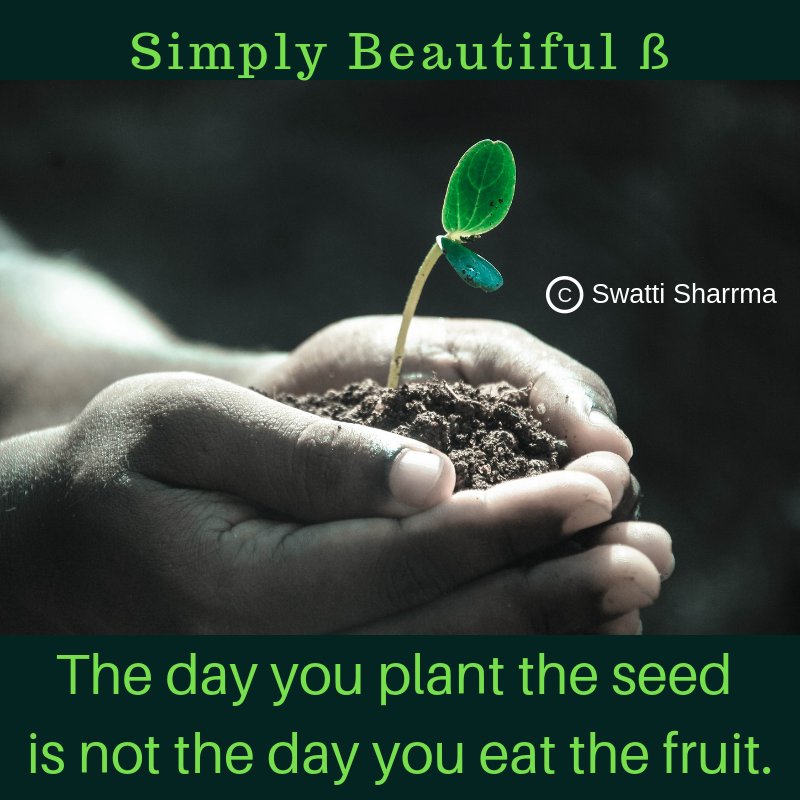 Quotes on seed, plants and fruits.