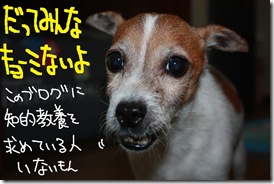 今日カズ１０１０１７　３