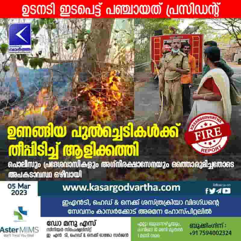 Latest-News, Kerala, Kasaragod, Top-Headlines, Uduma, Fire, Accident, Dry grass catches fire.