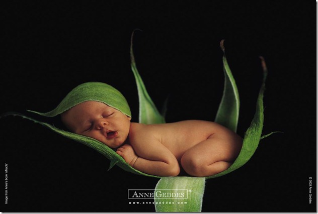 Anne_Geddes_pea_in_a_pod