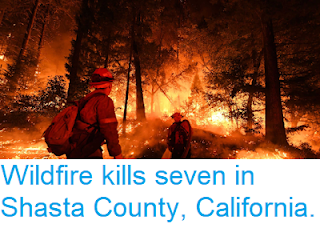 https://sciencythoughts.blogspot.com/2018/08/wildfire-kills-seven-in-shast-county.html