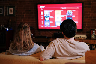 photo of two people with their backs to the camera watching streaming TV.