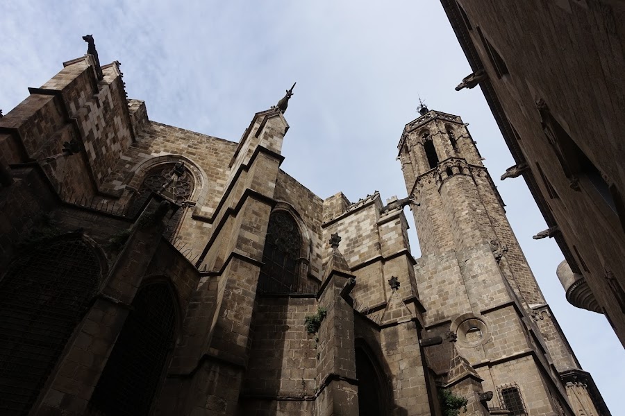 サンタ・クレウ・イ・サンタ・エウラリア大聖堂（La Catedral de la Santa Creu i Santa Eulàlia）=バルセロナ大聖堂
