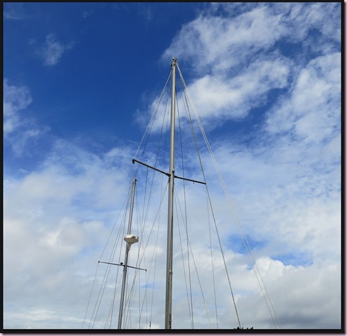sailIMG_6081