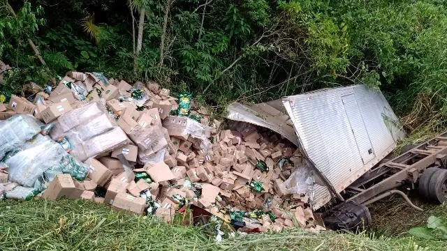 Quatro pessoas morrem em acidente entre caminhão e ônibus na BR-116, em Cajati