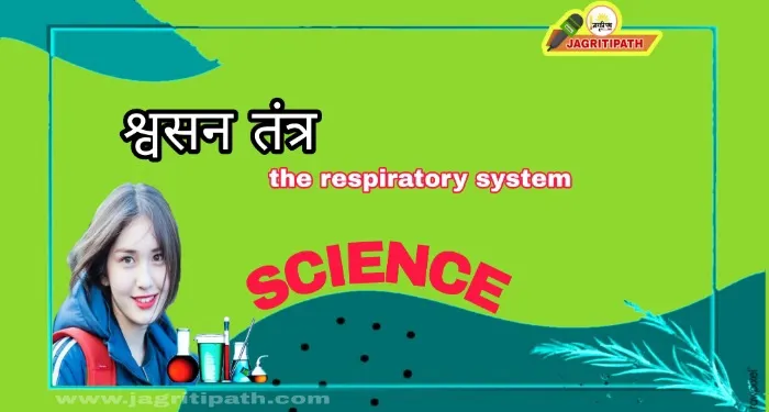 Human respiratory process
