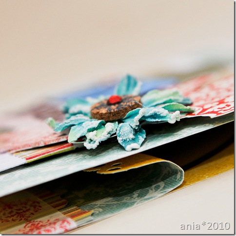 card2_cu4