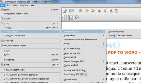 Cara mengubah PDF ke Word dengan Adobe Acrobat PRO