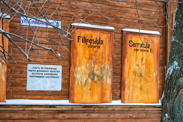 Заколоченный окна с надписями Filipendula, Serratuia