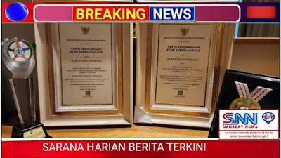 Pemkab Pinrang Raih 2 Penghargaan Bidang Kesehatan Tingkat Nasional 