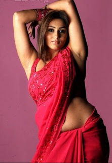 Namitha+Hot+Still+(5).jpg (346×500)