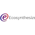 ecosynthesizer.com