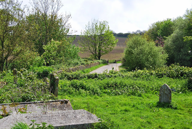 Days out in Sussex - A Country idyll and an abundance of lilac in Falmer village and Withdean Park