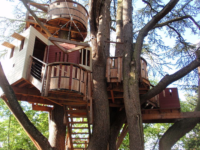 Tree Houses