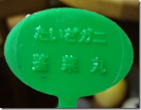 DSC05170