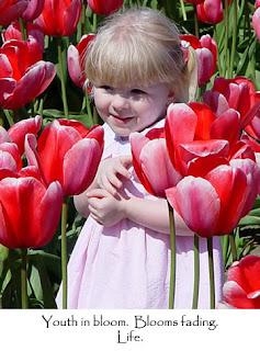 Child in tulip field, photo by Robin Atkins