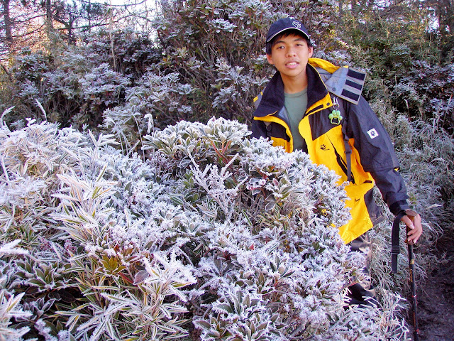 白色霜雪一片