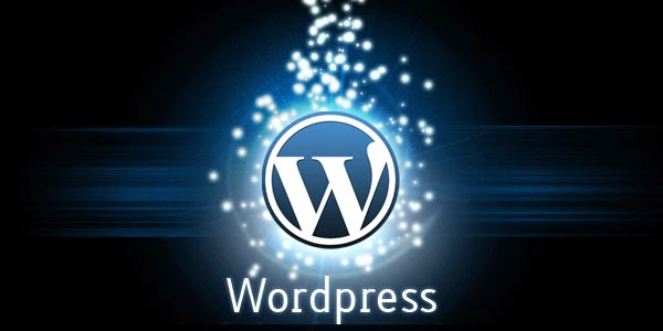 Mengatasi Table DB Wordpress wp_options Transient Values Bengkak