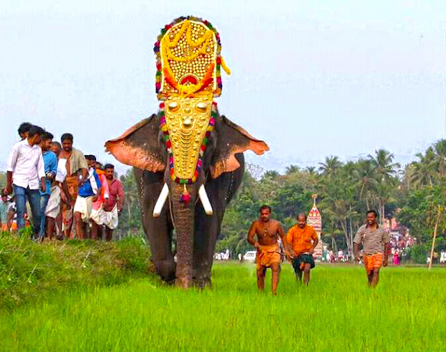 Thrikkadavoor SivaRaju