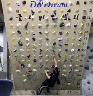 MOON BOARD KOREA - Do Dream Climbing