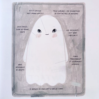 Comment être ami avec un fantôme ? livre pour enfant sur l'amitié, Halloween humouristique, deRebecca Green Editions Gallimard Jeunesse