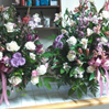 View album