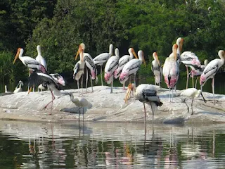 17th Wildlife Sanctuary of India