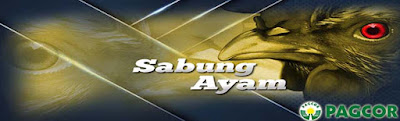 Panduan Judi Sabung Ayam Online Sv388 (sv288) Termurah