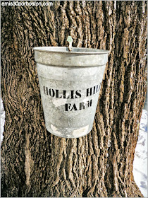 Maple Sugar Season en Massachusetts: Sugar House de Hollis Hills Farm