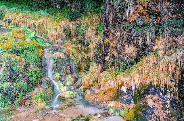 Chorron de  Nalda o de San Marcos (La Rioja)