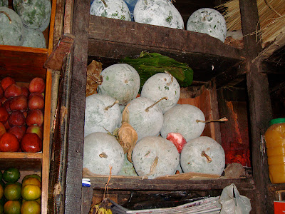  Ash Gourd, Wax Gourd, White Gourd or Winter Melon, 