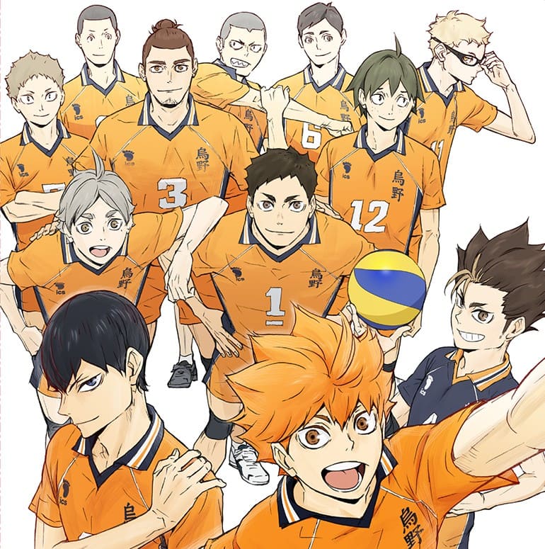 ハイキュー 烏野高校メンバー一覧 画像 Karasuno High