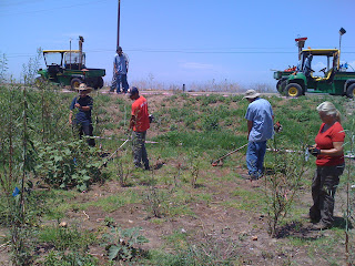 Creek Restoration by Grounds Staff