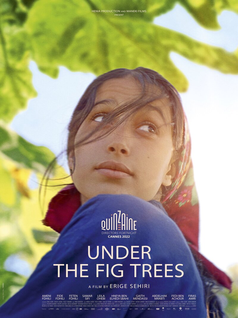 Under the Fig Trees poster