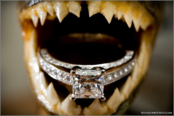 Expensive Diamond Engagement Ring Photo shoot