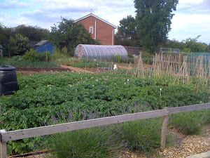 allotment